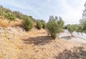 Non-developable land for sale on España, Órgiva, ref: TR312594 photo
