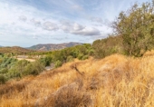 Non-developable land for sale on España, Órgiva, ref: TR312594 photo