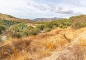 Non-developable land for sale on España, Órgiva, ref: TR312594 photo