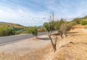 Non-developable land for sale on España, Órgiva, ref: TR312594 photo
