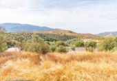 Non-developable land for sale on España, Órgiva, ref: TR312594 photo