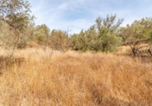 Non-developable land for sale on España, Órgiva, ref: TR312594 photo