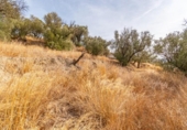 Non-developable land for sale on España, Órgiva, ref: TR312594 photo