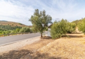 Non-developable land for sale on España, Órgiva, ref: TR312594 photo