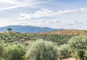 Non-developable land for sale on España, Órgiva, ref: TR312594 photo