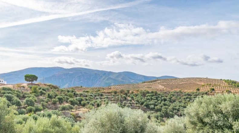 Granada - Órgiva - 4737m2