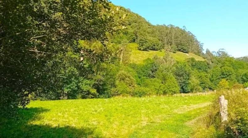 Cantabria - Lendagua - 1520m2