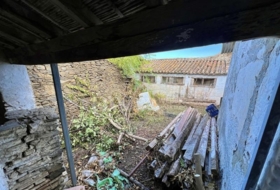 Foto 10