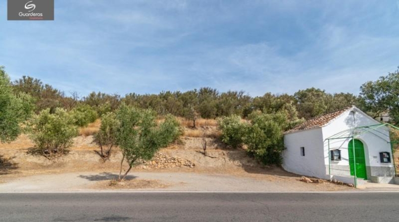 Granada - Órgiva - 4737m2