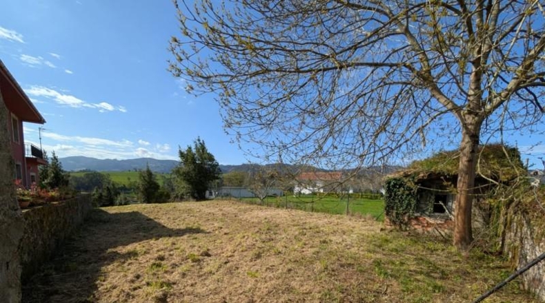 Astúries - Villaviciosa - 1195m2