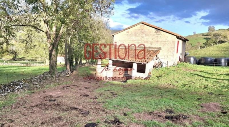 Cantàbria - Villafufre - 22000m2