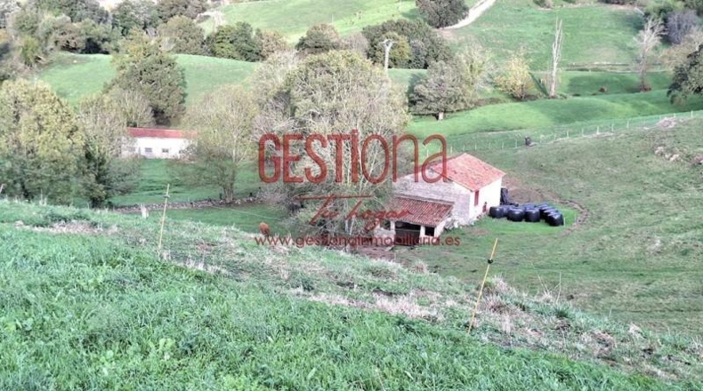 Cantàbria - Villafufre - 22000m2