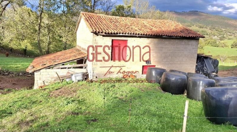 Cantàbria - Villafufre - 22000m2