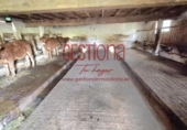 Finca rústica en venda a la España, Villafufre, ref.: TR398628 foto