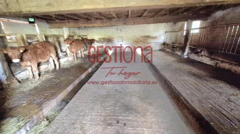 Cantàbria - Villafufre - 22000m2