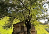 Finca rústica en venta en la España, Selaya, ref: TR399783 foto