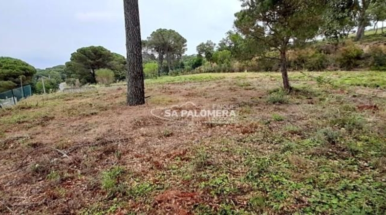 Barcelona - Tordera - 800m2