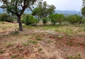 Parcel·la urbanitzable en venda a la España, Tordera, ref.: TR113625 foto