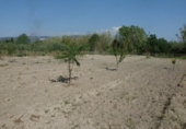 Terreno no urbanizable en venta en la España, Ontinyent, ref: TR113791 foto