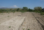 Terreno no urbanizable en venta en la España, Ontinyent, ref: TR113791 foto