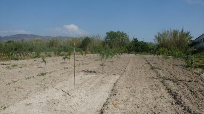 València - Onteniente - 3804m2
