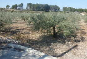 Foto 8