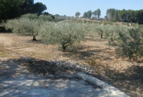 Foto 9