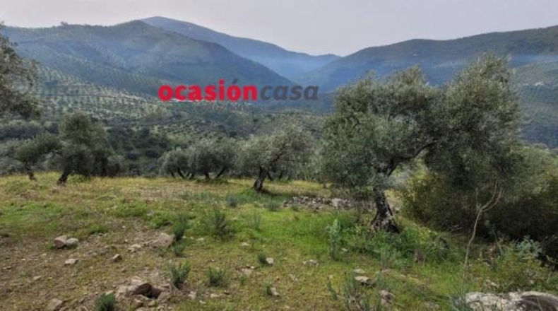 Córdoba - Pozoblanco - 48000m2