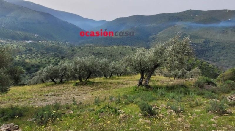 Córdoba - Pozoblanco - 48000m2