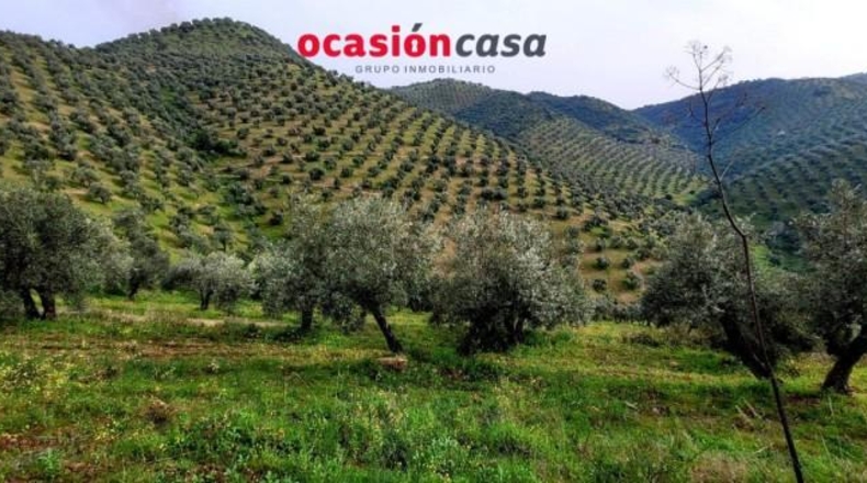 Córdoba - Pozoblanco - 48000m2