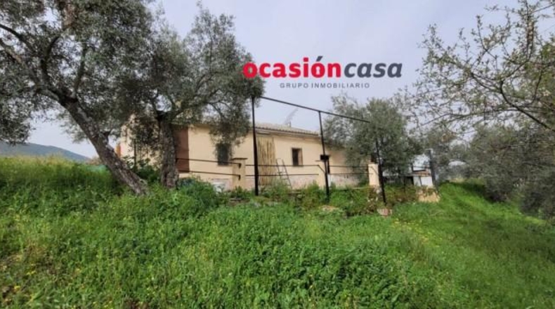 Córdoba - Pozoblanco - 48000m2