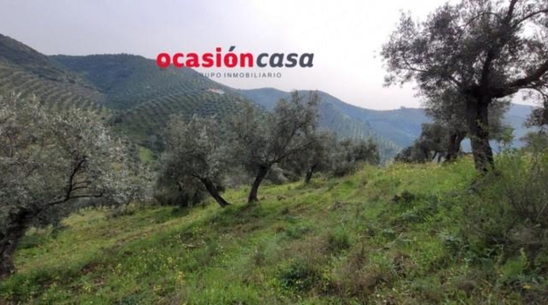 Córdoba - Pozoblanco - 48000m2