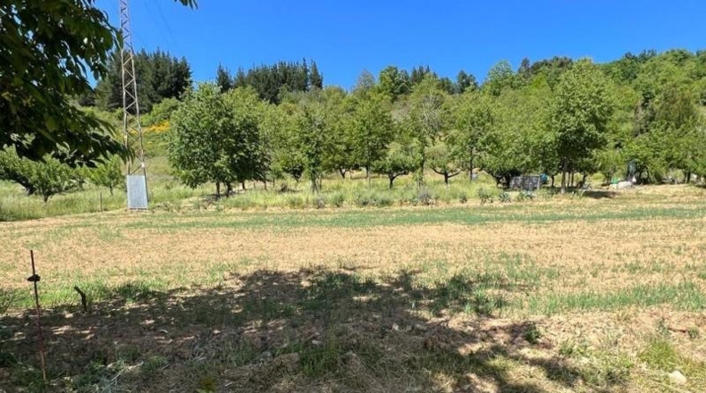 Leon - Vega de Espinareda - 4091m2