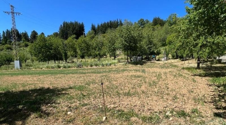 Leon - Vega de Espinareda - 4091m2