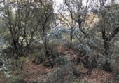 Suelo urbano en venta en la España, Dúdar, ref: TR121498 foto
