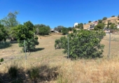 Casa con terreno en venta en la España, Alcolea, ref: TR294436 foto