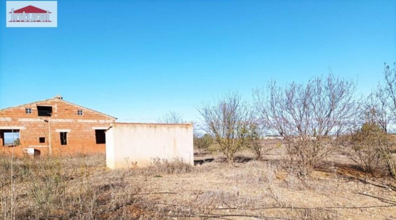 Cádiz - Algodonales - 7646m2