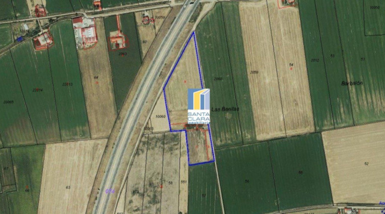 Zamora - Zamora - 24782m2
