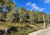 Suelo urbano en venta en la España, Canyelles, ref: TR117466 foto