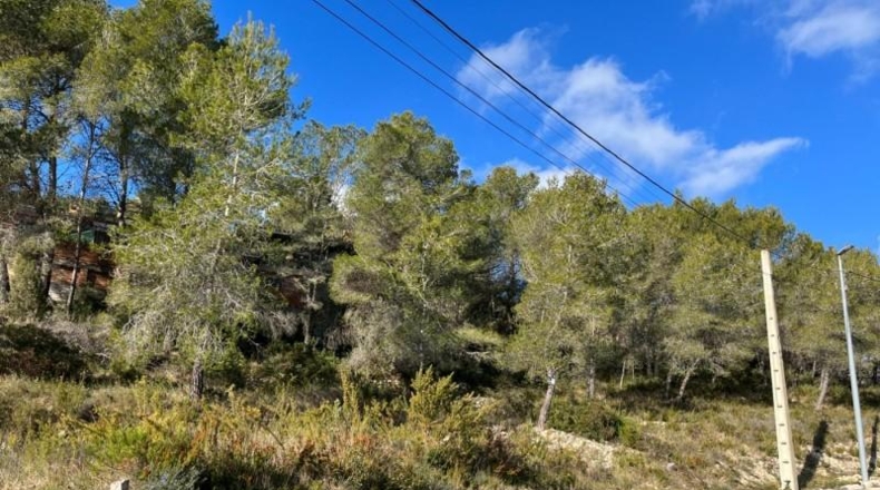 Barcelona - Canyelles - 1455m2