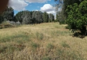 Detached villa with land for sale on España, La Hiniesta, ref: TR309518 photo