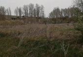 Detached villa with land for sale on España, La Hiniesta, ref: TR309518 photo