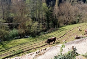 Foto 13