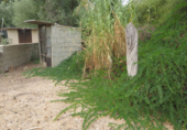 Suelo urbano en venta en la España, Bunyola, ref: TR118465 foto