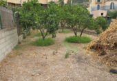 Suelo urbano en venta en la España, Bunyola, ref: TR118465 foto