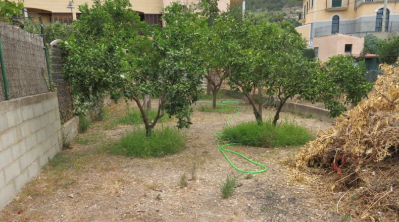 Balearic Islands - Buñola - 226m2