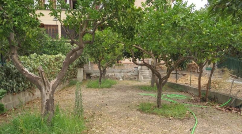 Balearic Islands - Buñola - 226m2