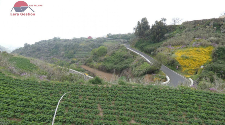 Las Palmas - Vega de San Mateo - 3000m2
