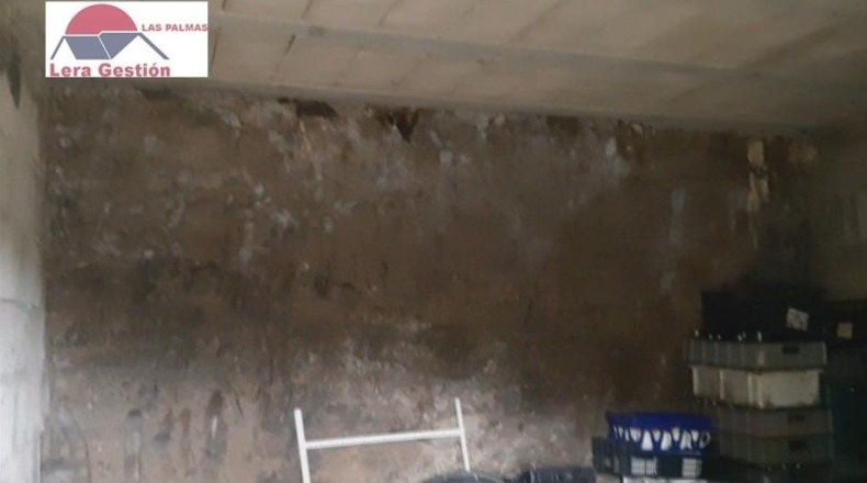 Las Palmas - Vega de San Mateo - 3000m2