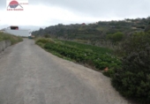 Finca rústica en venta en la España, Vega de San Mateo, ref: TR302963 foto